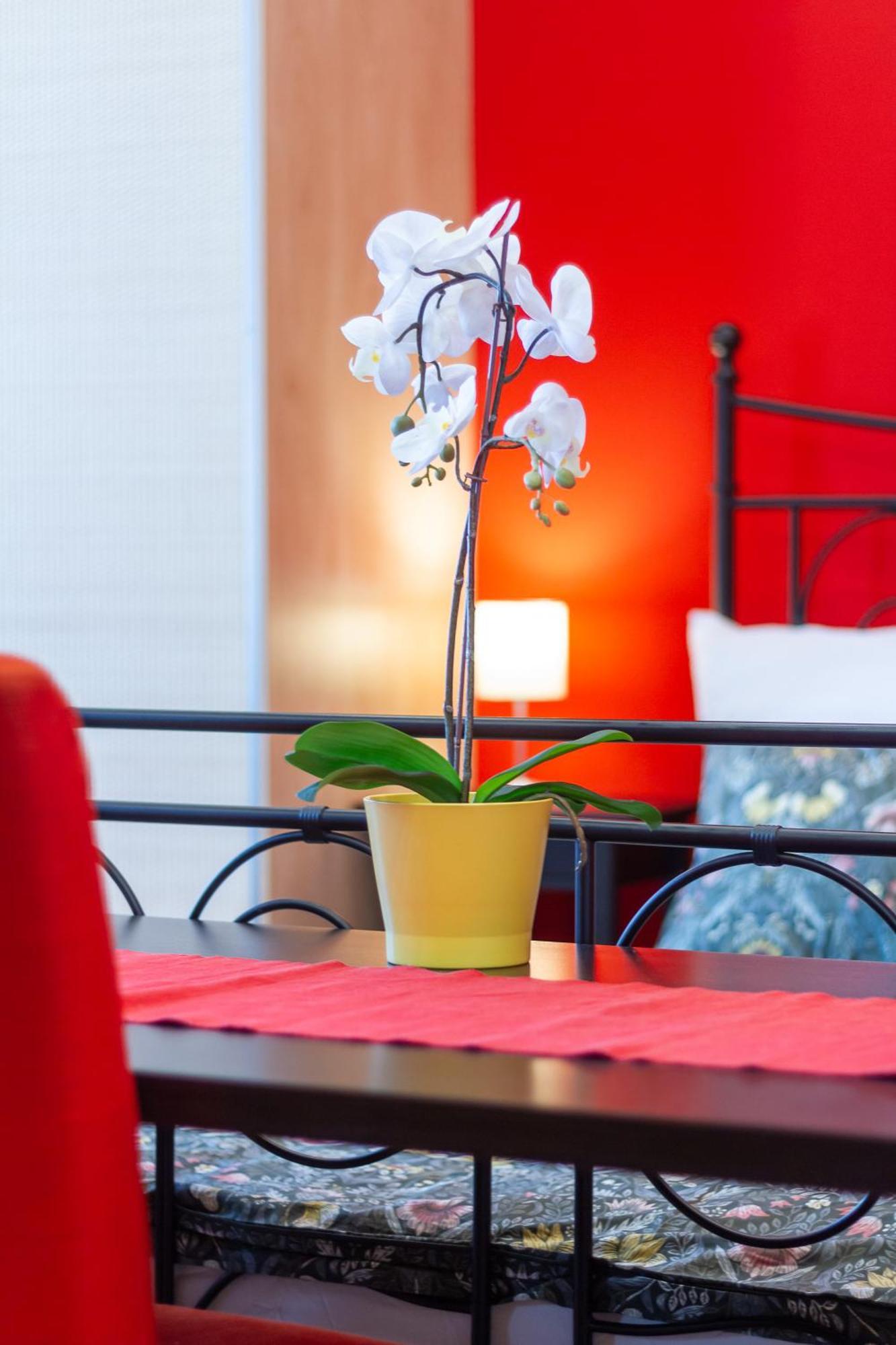 Badepest Apartment 부다페스트 외부 사진
